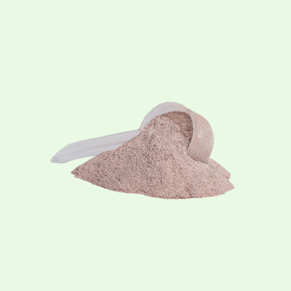 Plant Protein (Vanilla)